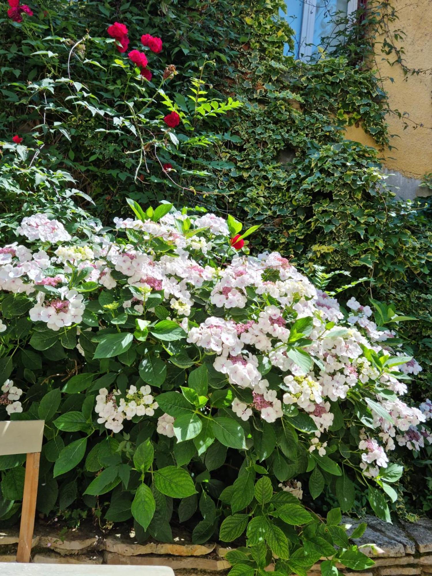 Suite De Charme Avec Jacuzzi Et Jardin Privatif Paris Au Calme Saint-Prix  Exterior photo